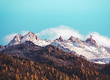 竞技宝在线-开云体育下载：解锁指尖的体育世界新体验