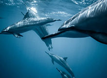 竞技宝网页版-KAIYUNSPORTS——点亮你的运动日常